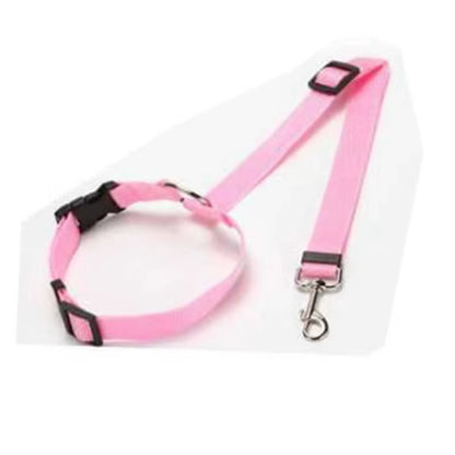 SafeRide DuoLeash – 2-in-1 Car Seat Belt & Walking Leash for Dogs on the Move