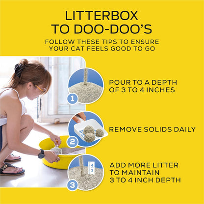Purina  Lightweight 4-In-1 Strength Clumping Cat Litter